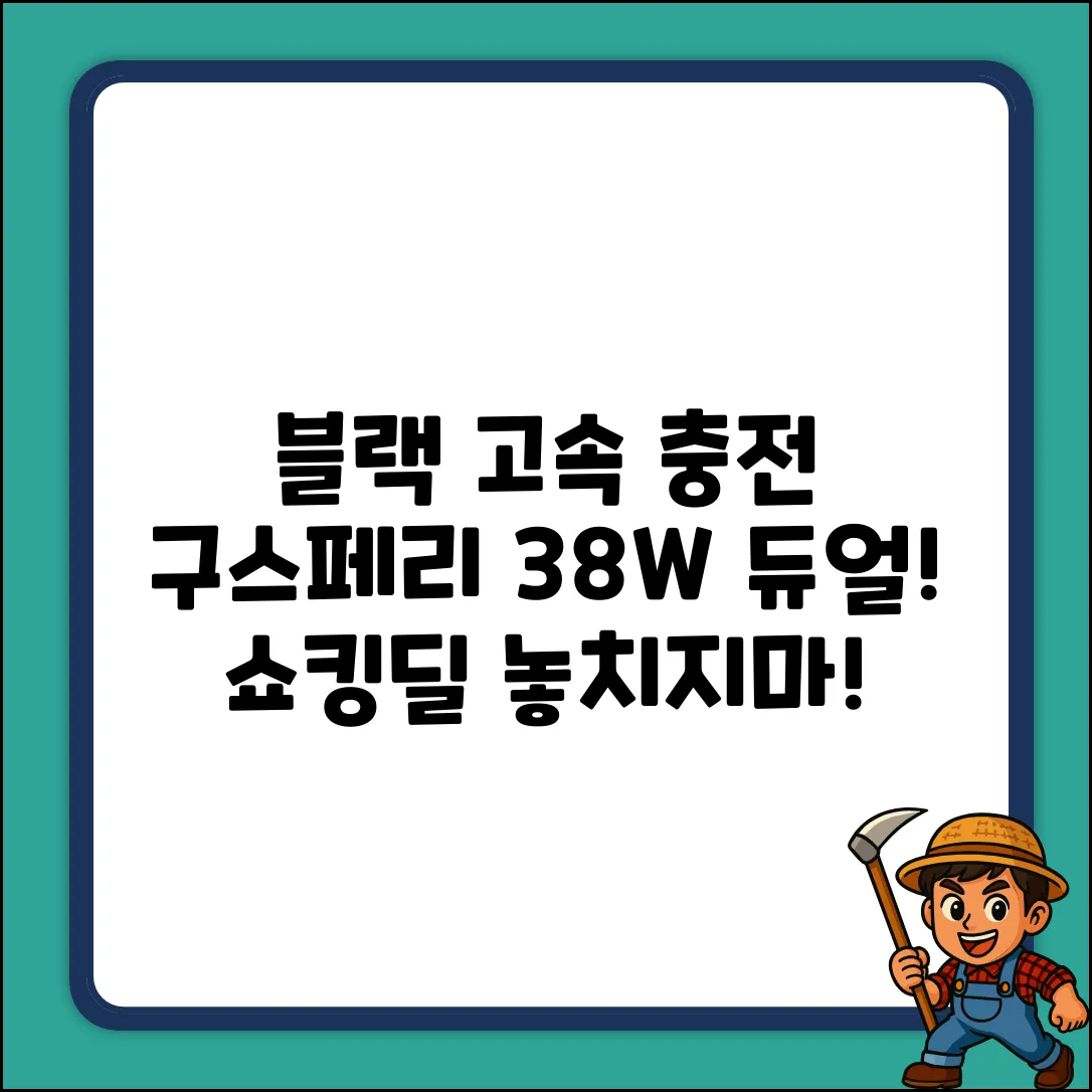 구스페리 38W 듀얼! 블랙 고속 충전 쇼킹딜!