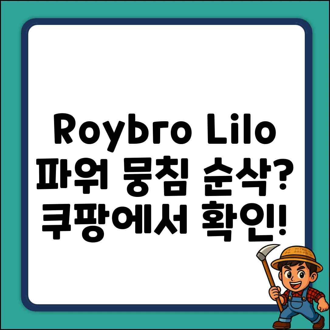 Roybro Lilo 파워, 뭉침 순삭될까?