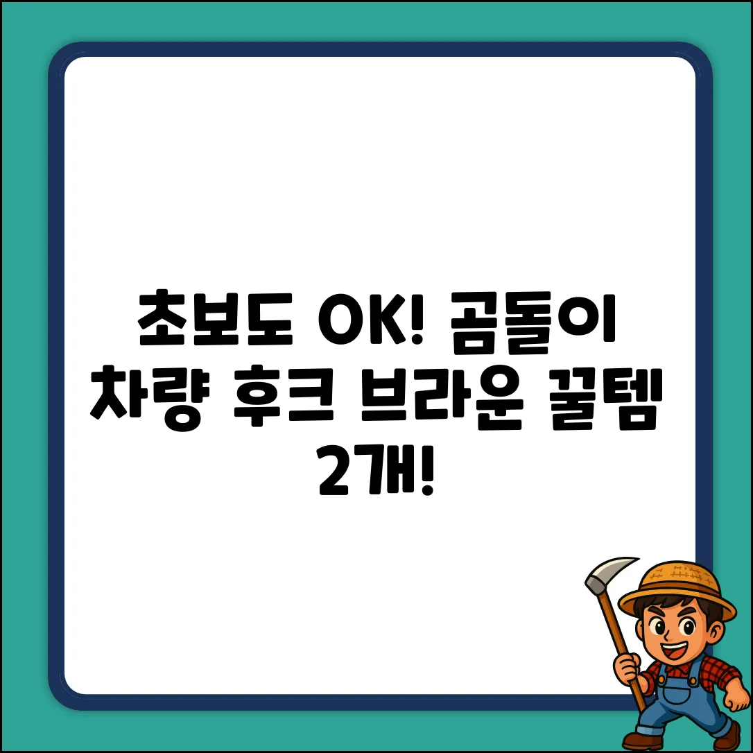 초보도 OK! 곰돌이 차량 후크 브라운 2개 꿀템