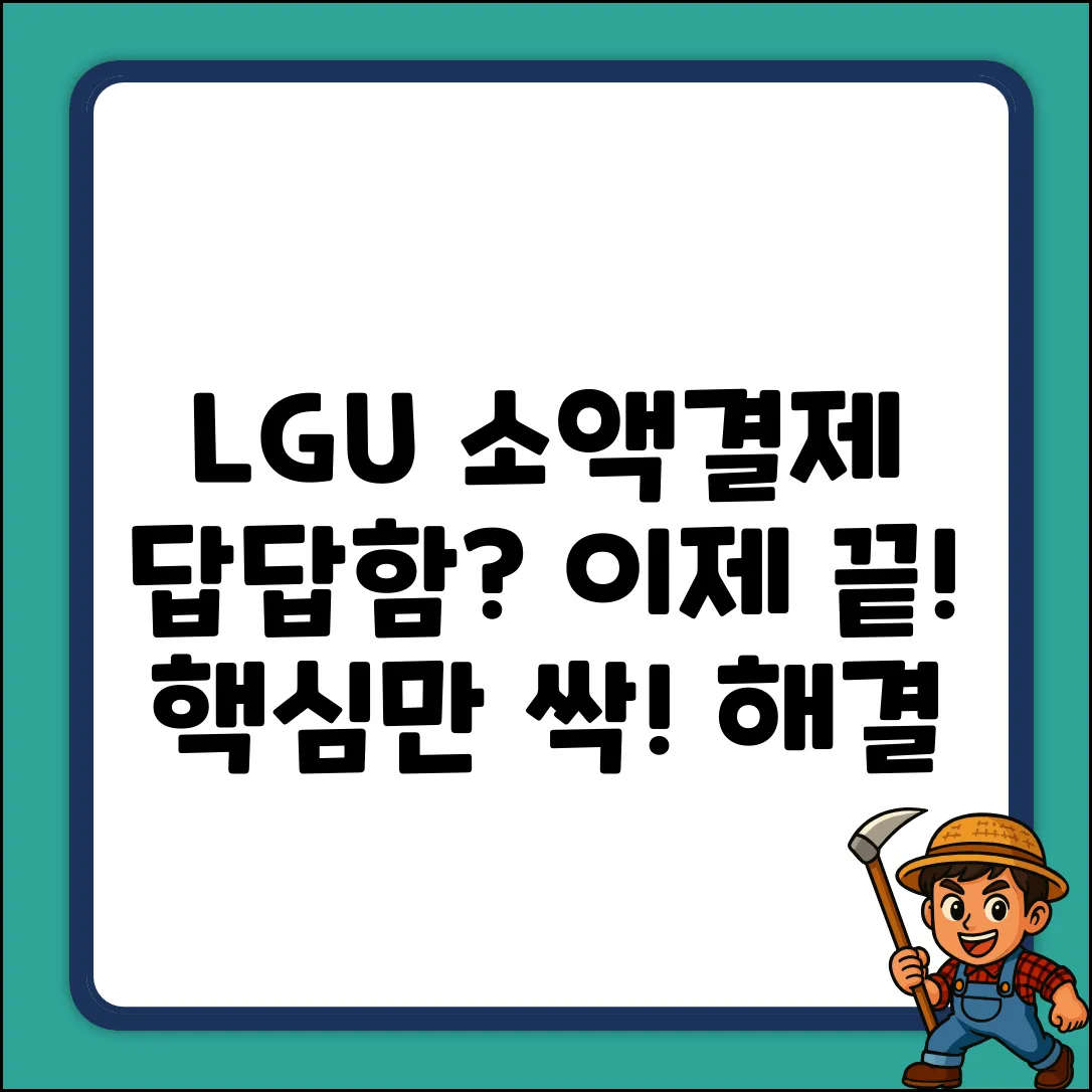 소액결제lgu+ 질문, 답답함 싹! 해결!