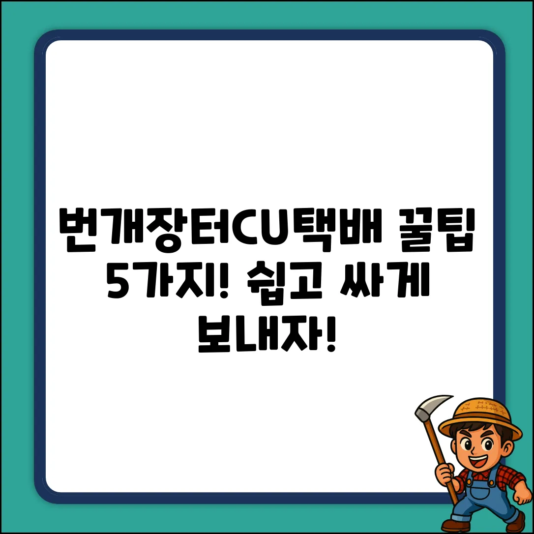 번개장터 구매, CU택배 꿀팁 5가지⚡