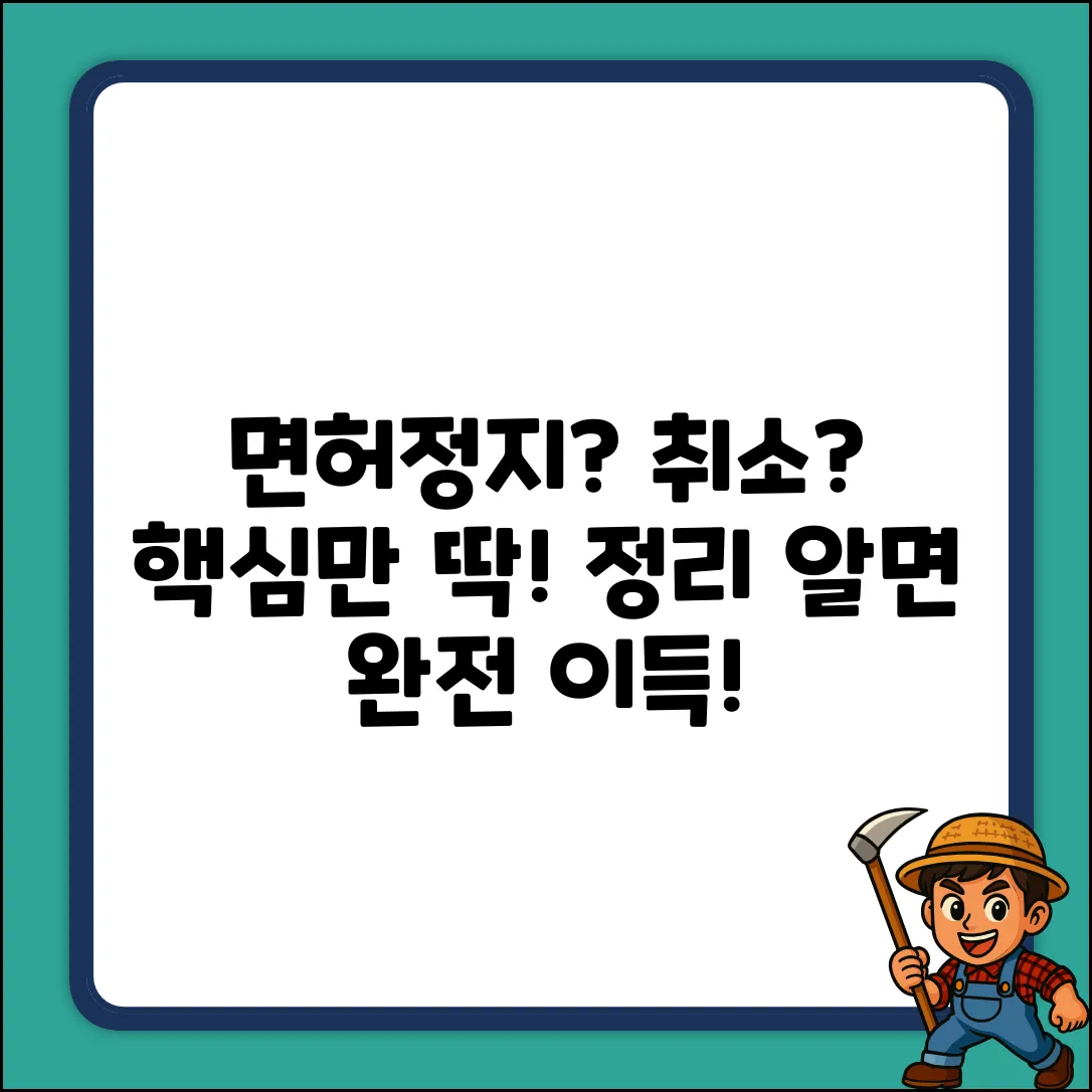 면허정지 vs 취소, 알면 놀라운 차이!