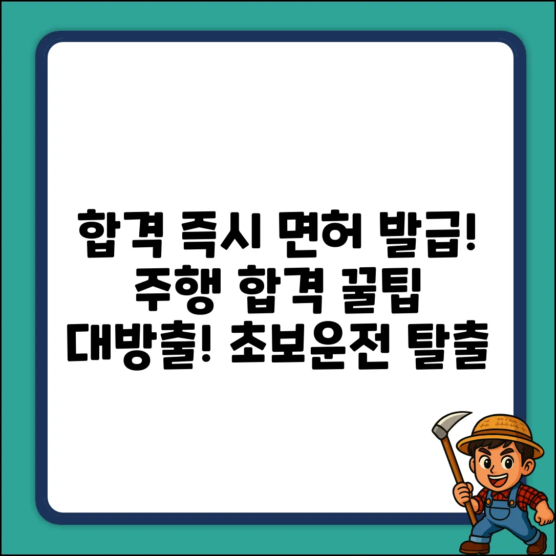 합격후 면허 발급? 주행 합격꿀팁!