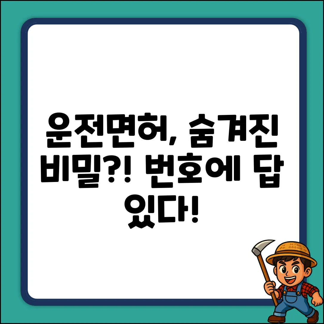 운전면허 번호, 숨겨진 비밀이 있나요?