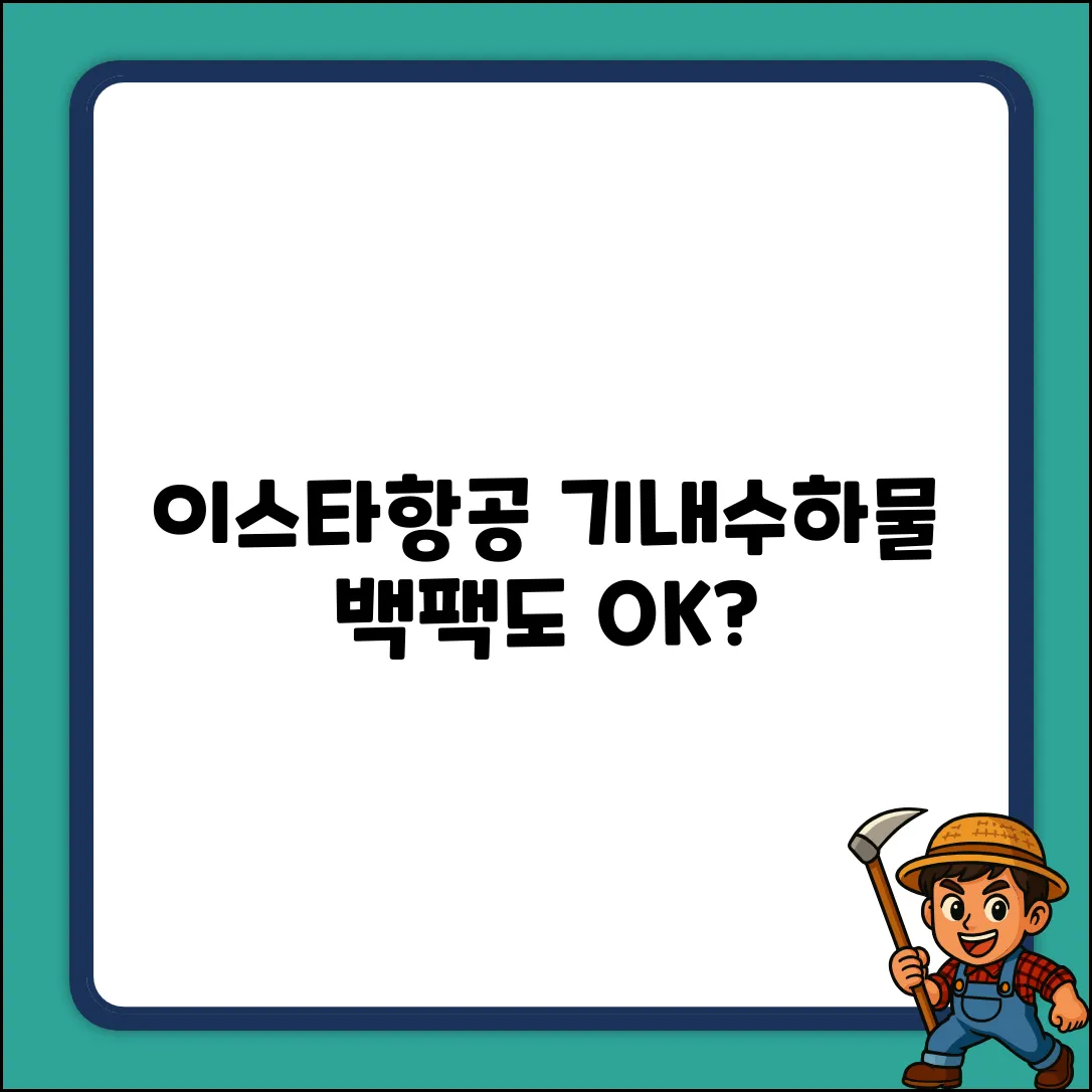 이스타항공 기내수하물, 백팩도 될까?