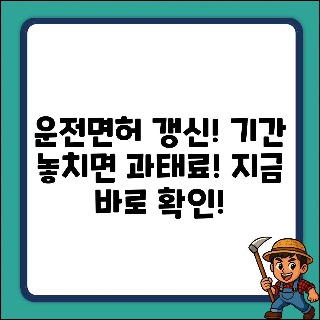 운전면허 적성검사 기간, 깜빡하면 큰일?!